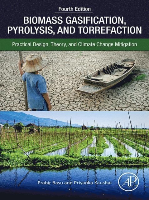 Priyanka Kaushal, Prabir Basu - Biomass Gasification, Pyrolysis, and Torrefaction, E-bok