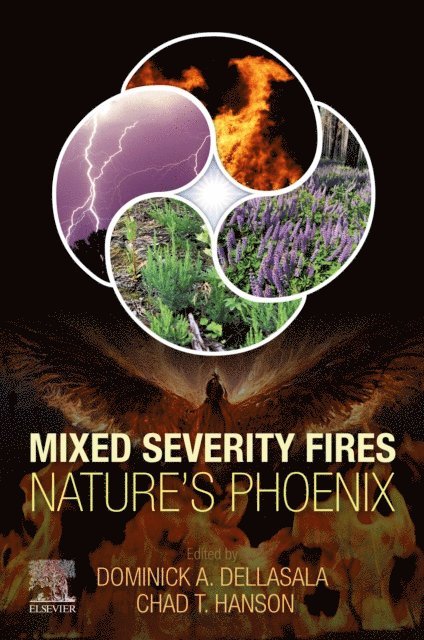 Chad Hanson, Dominick A. DellaSala - Mixed Severity Fires, E-bok