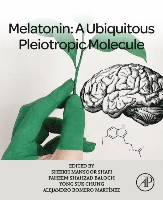 Alejandro Romero Martinez, Yong Suk Chung, Faheem Shahzad Baloch, Sheikh Mansoor - Melatonin, E-bok