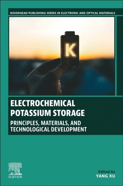 Yang XU - Electrochemical Potassium Storage, E-bok