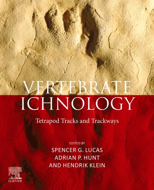 Hendrik Klein, Adrian Hunt P, Spencer G Lucas - Vertebrate Ichnology, E-bok