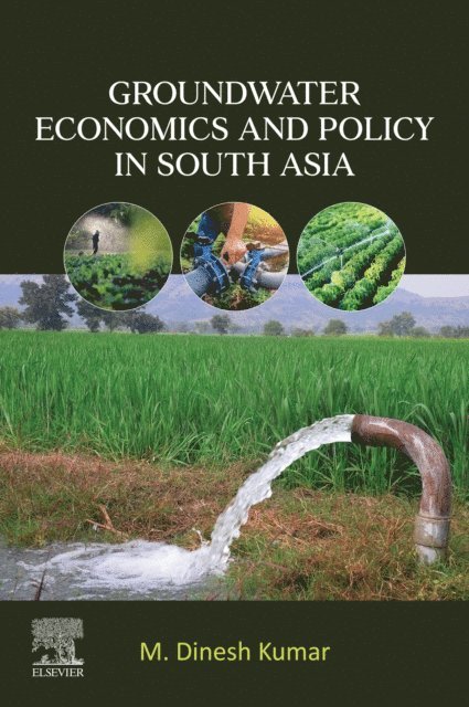 M. Dinesh Kumar - Groundwater Economics and Policy in South Asia, E-bok