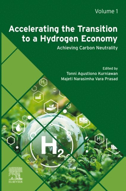 Majeti Narasimha Vara Prasad, Tonni Agustiono Kurniawan - Accelerating the Transition to a Hydrogen Economy, E-bok