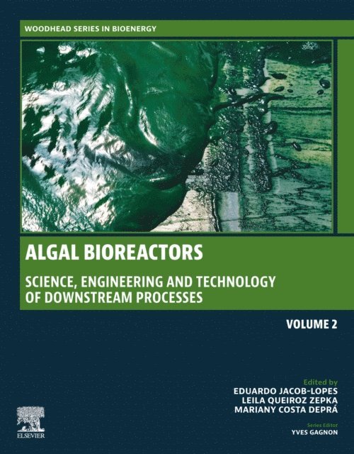 Mariany Costa Depra, Leila Queiroz Zepka, Eduardo Jacob-Lopes - Algal Bioreactors, E-bok