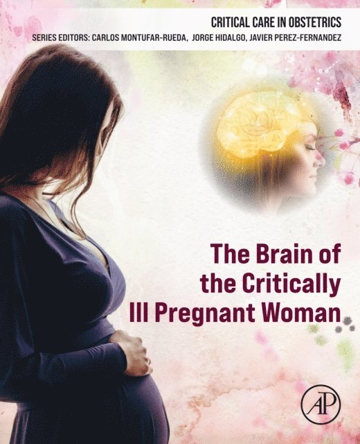 Jorge Hidalgo, Carlos Montufar-Rueda, Javier Perez-Fernandez - Brain of the Critically Ill Pregnant Woman, E-bok