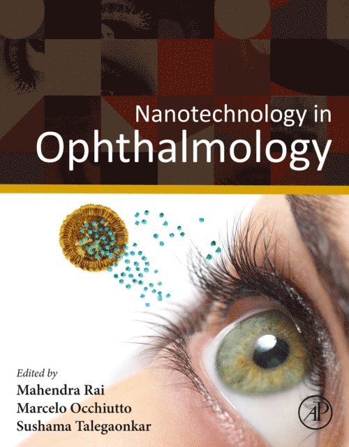 Sushama Talegaonkar, Marcelo Luis Occhiutto, Mahendra Rai - Nanotechnology in Ophthalmology, E-bok