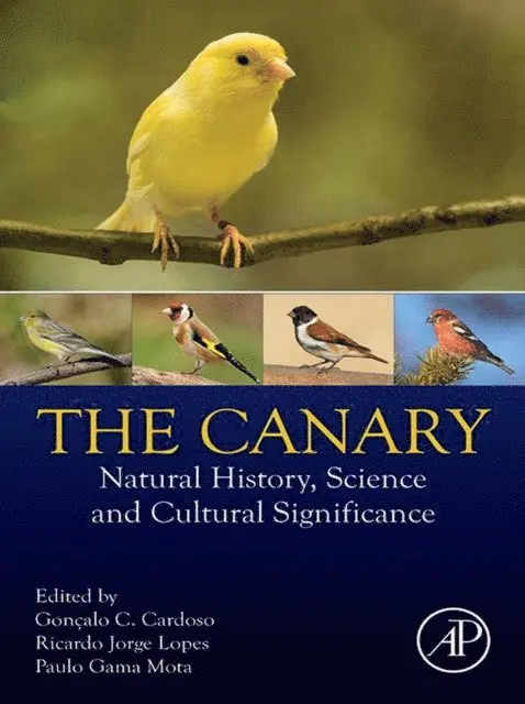 Paulo Gama Mota, Ricardo Jorge Lopes, Goncalo C. Cardoso - Canary, E-bok. Tillgänglighet: Lägg i varukorg