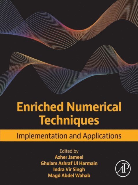Magd Abdel Wahab, Indra Vir Singh, Ghulam Ashraf Ul Harmain, Azher Jameel - Enriched Numerical Techniques, E-bok