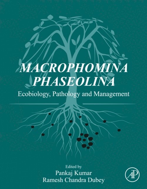Ramesh Chandra Dubey, Pankaj Kumar - Macrophomina Phaseolina, E-bok