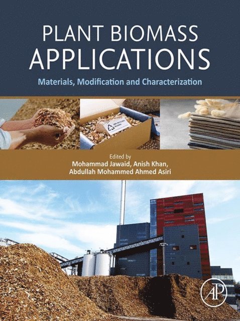Abdullah Mohammed Ahmed Asiri, Anish Khan, Mohammad Jawaid - Plant Biomass Applications, E-bok