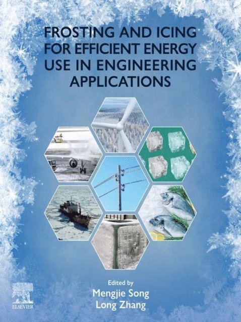Mengjie Song, Long Zhang - Frosting and Icing for Efficient Energy Use in Engineering Applications, E-bok