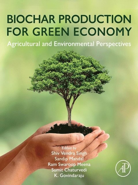 Govindaraju K, Sumit Chaturvedi, Sandip Mandal, Ram Swaroop Meena, Shiv Vendra Singh - Biochar Production for Green Economy, E-bok