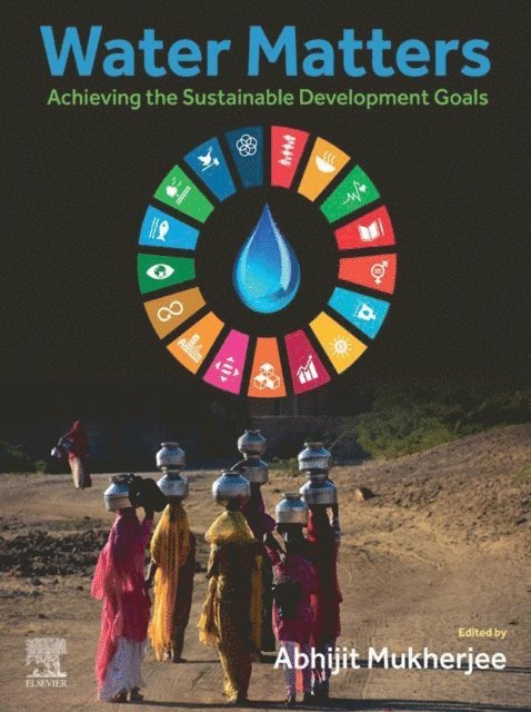Abhijit Mukherjee - Water Matters, E-bok
