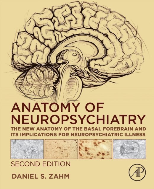 Daniel S. Zahm - Anatomy of Neuropsychiatry, E-bok. Tillgänglighet: Lägg i varukorg