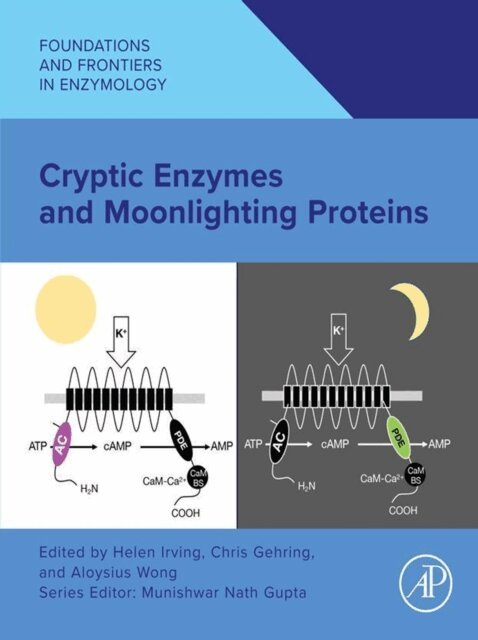 Aloysius Wong, Chris Gehring, Helen Irving - Cryptic Enzymes and Moonlighting Proteins, E-bok