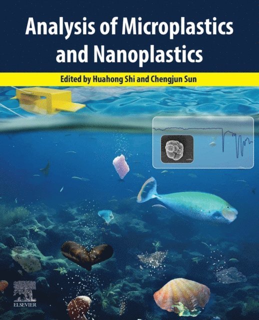 Chengjun Sun, Huahong Shi - Analysis of Microplastics and Nanoplastics, E-bok