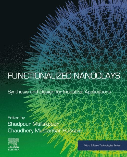Chaudhery Mustansar Hussain, Shadpour Mallakpour - Functionalized Nanoclays, E-bok