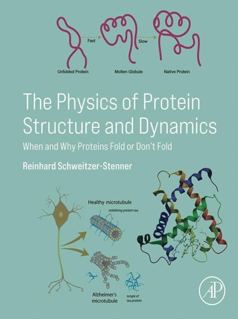 Reinhard Schweitzer-Stenner - Physics of Protein Structure and Dynamics, E-bok
