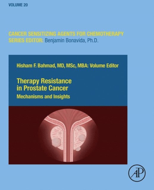 Hisham Bahmad - Therapy Resistance in Prostate Cancer, E-bok