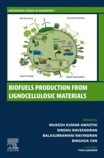 Binghua Yan, Balasubramani Ravindran, Sindhu Raveendran, Mukesh Kumar Awasthi - Biofuels Production from Lignocellulosic Materials, E-bok