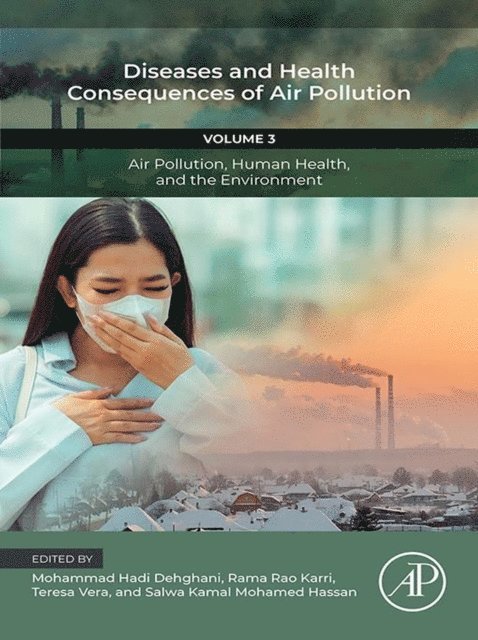 Salwa Kamal Mohamed Hassan, Teresa Vera, Rama Rao Karri, Mohammad Hadi Dehghani - Diseases and Health Consequences of Air Pollution, E-bok