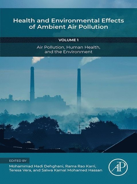 Salwa Kamal Mohamed Hassan, Teresa Vera, Rama Rao Karri, Mohammad Hadi Dehghani - Health and Environmental Effects of Ambient Air Pollution, E-bok