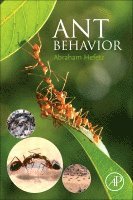 Abraham Hefetz - Ant Behavior, Häftad