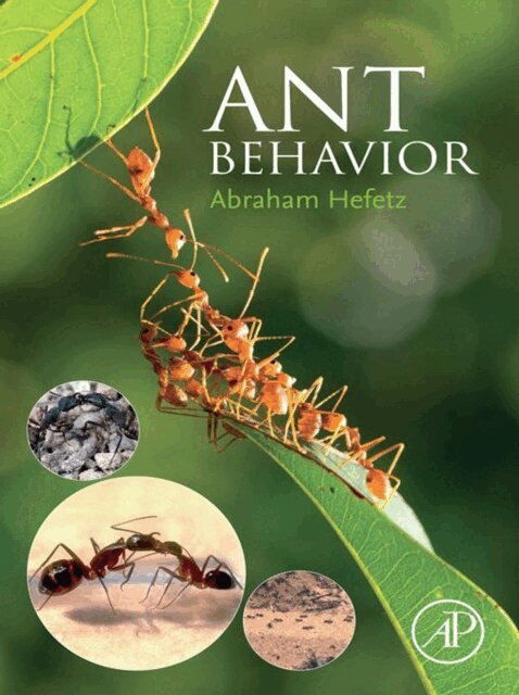 Abraham Hefetz - Ant Behavior, E-bok