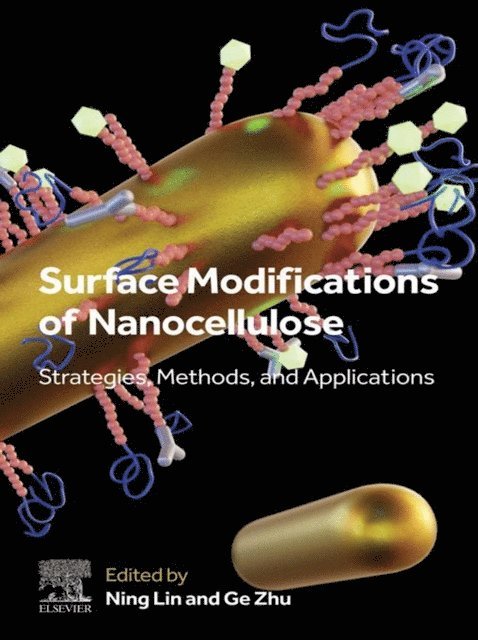 Ge Zhu, Ning Lin - Surface Modifications of Nanocellulose, E-bok