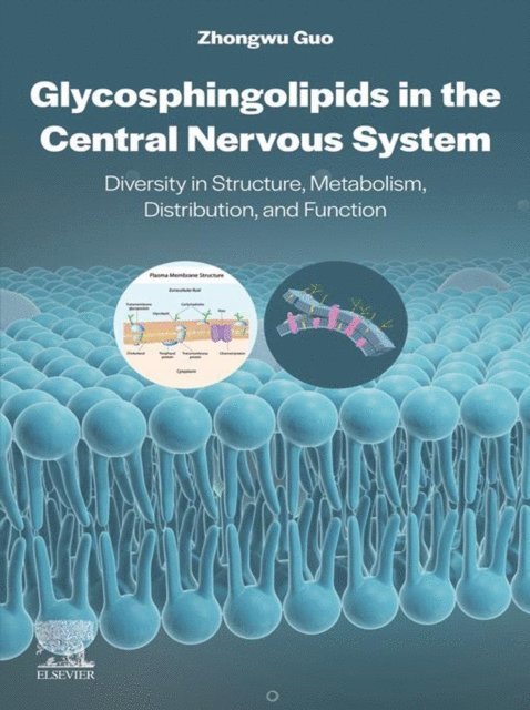 Zhongwu Guo - Glycosphingolipids in the Central Nervous System, E-bok
