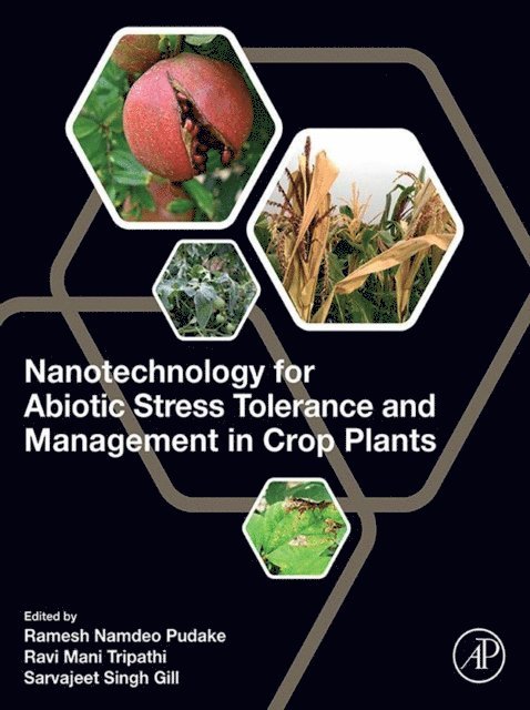 Sarvajeet Singh Gill, Ravi Mani Tripathi, Ramesh Namdeo Pudake - Nanotechnology for Abiotic Stress Tolerance and Management in Crop Plants, E-bok