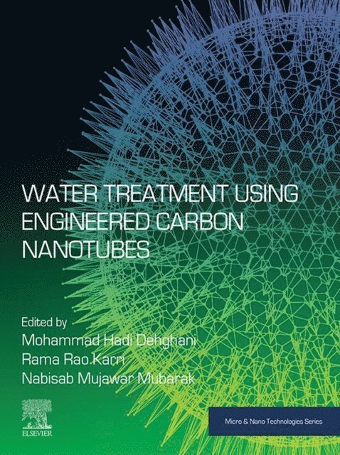 Nabisab Mujawar Mubarak, Rama Rao Karri, Mohammad Hadi Dehghani - Water Treatment Using Engineered Carbon Nanotubes, E-bok