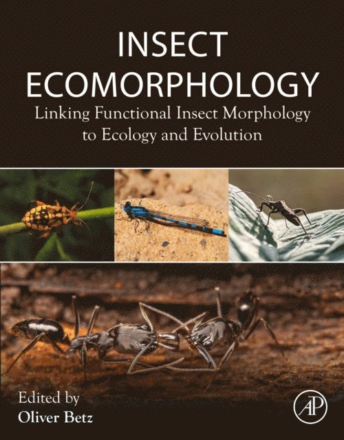 Oliver Betz - Insect Ecomorphology, E-bok