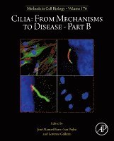 Cilia: From Mechanisms to Disease-Part B