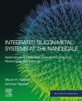 Integrated Silicon-Metal Systems at the Nanoscale