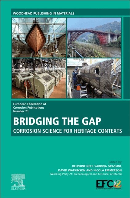 Nicola Emmerson, David Watkinson, Sabrina Grassini, Delphine Neff - Bridging the Gap, E-bok