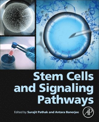 Surajit Pathak, Antara Banerjee - Stem Cells and Signaling Pathways, Häftad