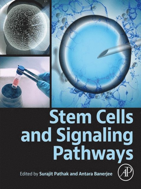 Antara Banerjee, Surajit Pathak - Stem Cells and Signaling Pathways, E-bok