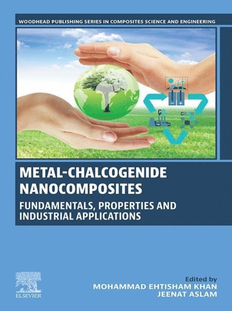 Jeenat Aslam, Mohammad Ehtisham Khan - Metal-Chalcogenide Nanocomposites, E-bok