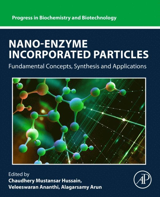 Chaudhery Mustansar Hussain, Alagarsamy Arun, Veleeswaran Ananthi - Nano-Enzyme Incorporated Particles, E-bok