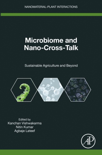 Agbaje Lateef, Nitin Kumar, Kanchan Vishwakarma - Microbiome and Nano-Cross-Talk, E-bok