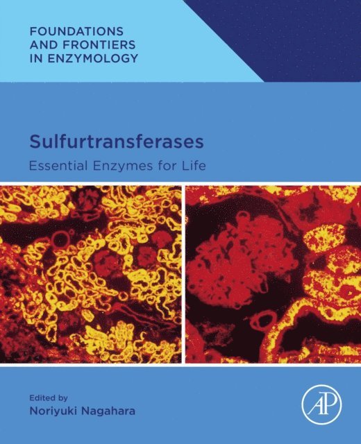 Noriyuki Nagahara - Sulfurtransferases, E-bok