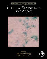 Cellular Senescence and Aging, Inbunden