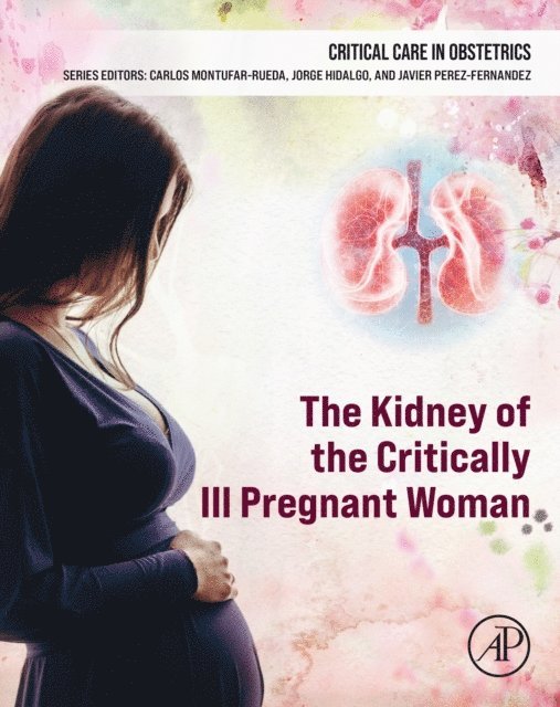 Javier Perez-Fernandez, Carlos Montufar-Rueda, Jorge Hidalgo - Kidney of the Critically Ill Pregnant Woman, E-bok