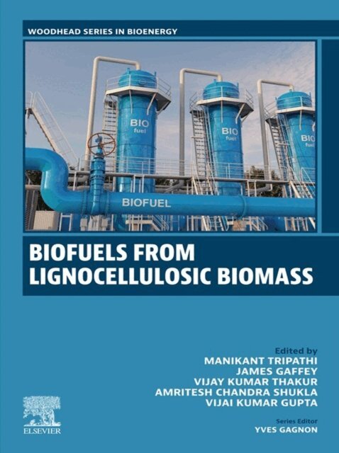 Vijai Kumar Gupta, Amritesh Chandra Shukla, Vijay Kumar Thakur, James Gaffey, Manikant Tripathi - Biofuels from Lignocellulosic Materials, E-bok