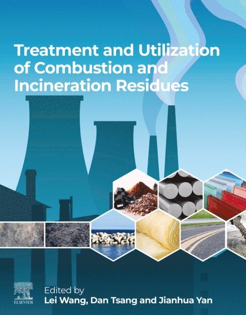 Jianhua Yan, Dan Tsang, Lei Wang - Treatment and Utilization of Combustion and Incineration Residues, E-bok