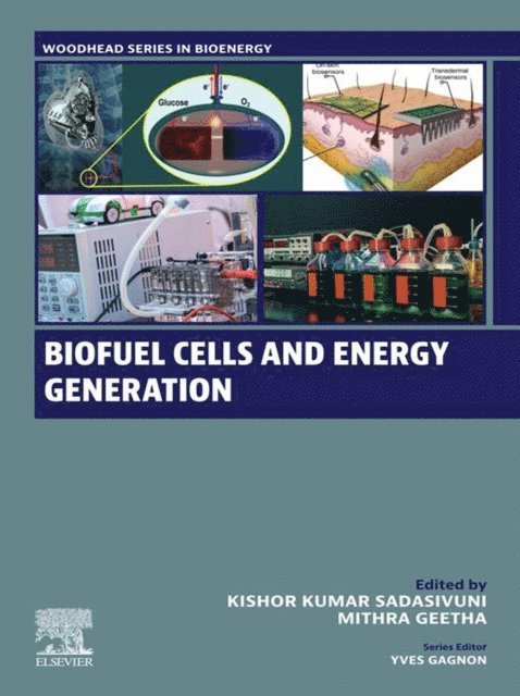 Mithra Geetha, Kishor Kumar Sadasivuni - Biofuel Cells and Energy Generation, E-bok