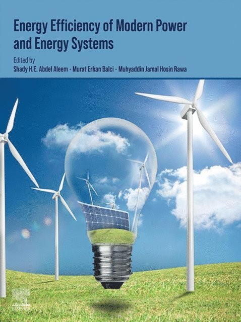 Muhyaddin Jamal Hosin Rawa, Murat Erhan Balci, Shady H E Abdel Aleem - Energy Efficiency of Modern Power and Energy Systems, E-bok
