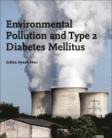 Environmental Pollution and Type 2 Diabetes Mellitus