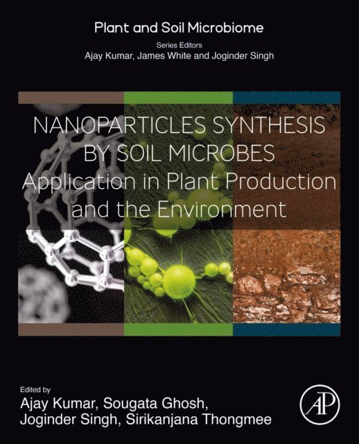 Sirikanjana Thongmee, Joginder Singh Panwar, Sougata Ghosh, Ajay Kumar - Nanoparticles Synthesis by Soil Microbes, E-bok